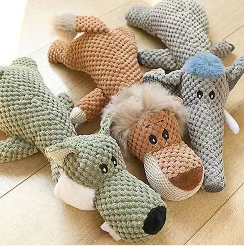 Paw-some Finds