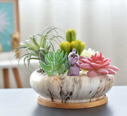 Modern Ceramic Succulent Flower Pot with Bamboo Tray