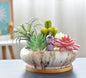 Modern Ceramic Succulent Flower Pot with Bamboo Tray
