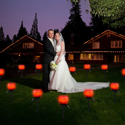 Heart-shaped LED Solar Garden Lights
