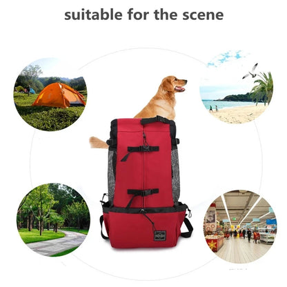 Breathable Dog Carrier Backpack – Portable Outdoor Travel Bag for Small Dogs & Cats