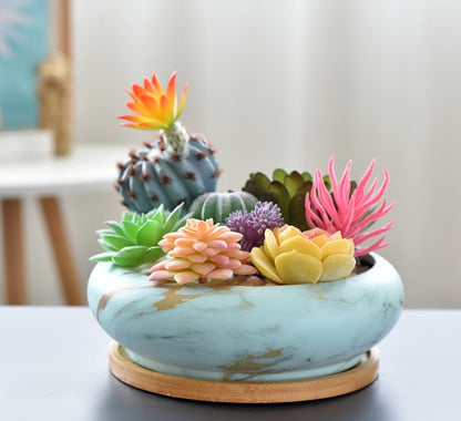 Modern Ceramic Succulent Flower Pot with Bamboo Tray