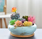 Modern Ceramic Succulent Flower Pot with Bamboo Tray